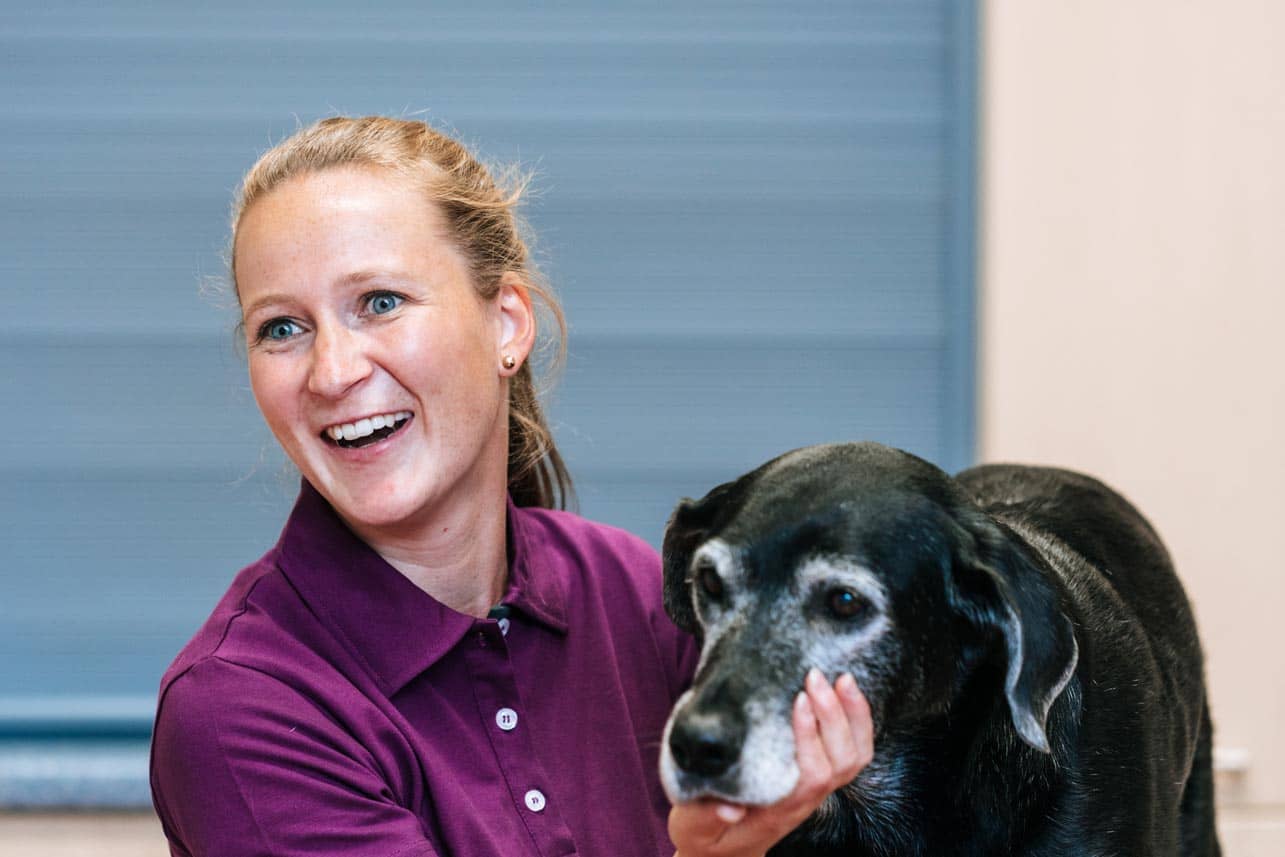 Hund während der Behandlung - Tierarztpraxis am Paulshof